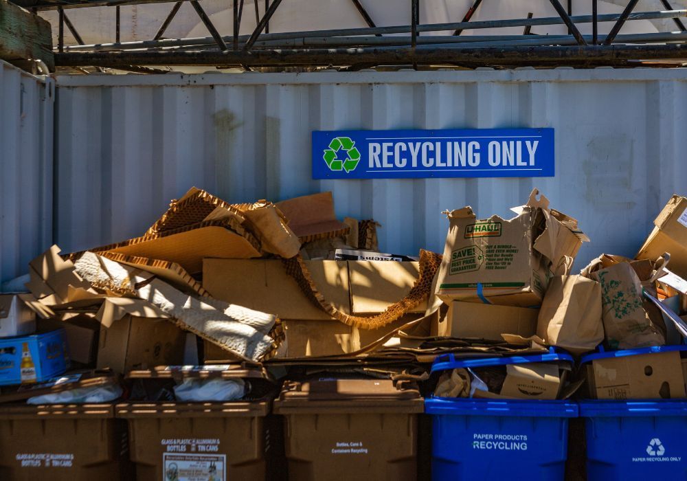 Buddy System Organic Waste